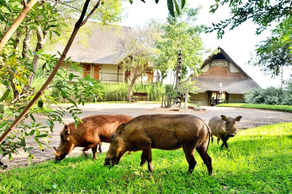 Victoria Falls Safari Club Zewnętrze zdjęcie