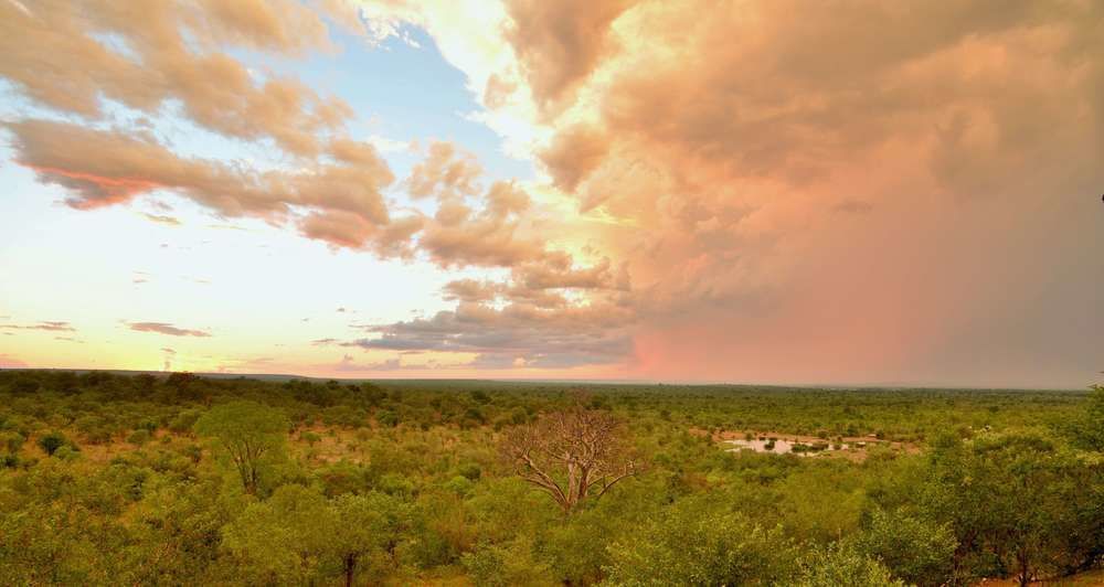 Victoria Falls Safari Club Zewnętrze zdjęcie